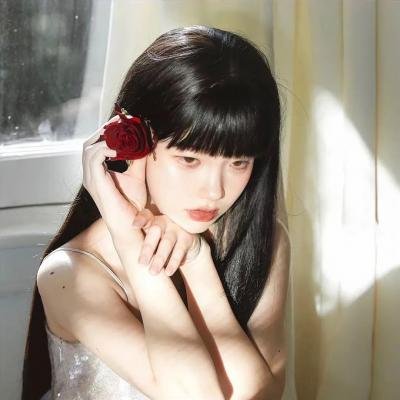 小王子路易